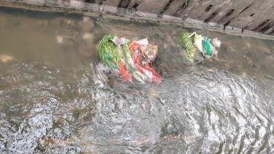 外劳卖剩蔬果倒大沟发臭  余保凭：厨余再生维护卫生