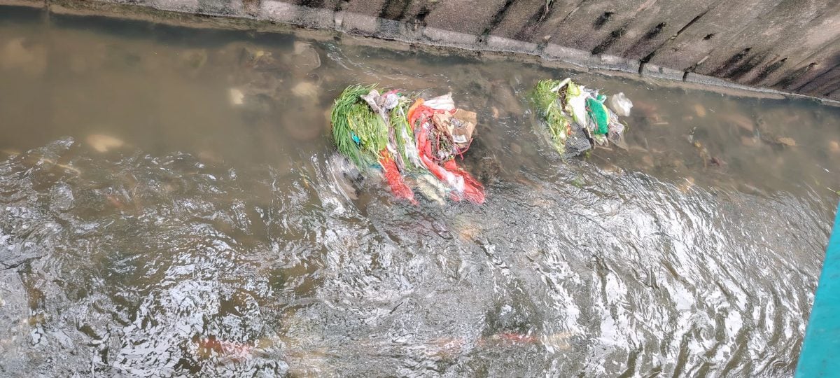 大都会/外劳非法倾倒滞销蔬果进深沟河流 余保凭建议当地人与NGO合作回收计划 善用厨余