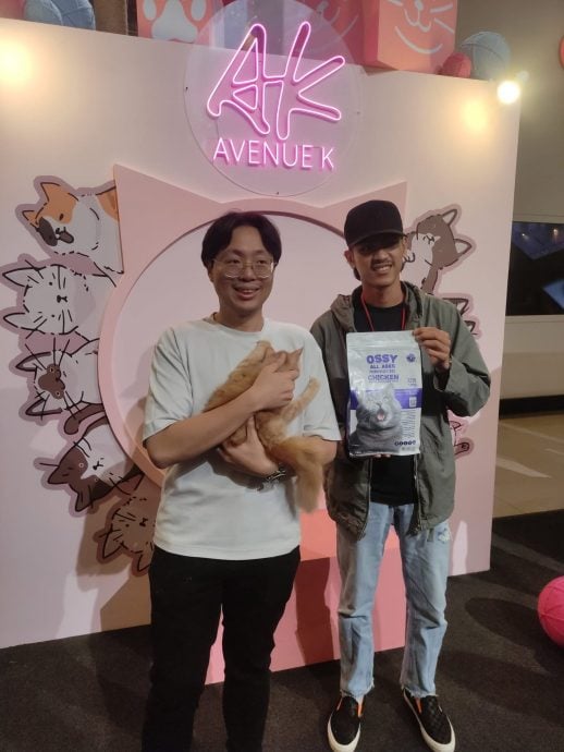 大都会:市议会推《养喵》计划 22猫找到家/2图
