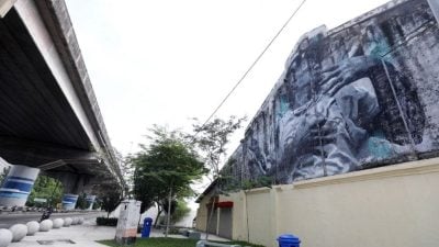 王城市厅耗资68万美化    拉惹慕达慕沙道披“新衣”