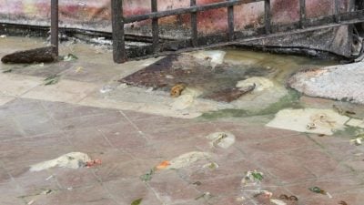 疑地下排污管阻塞 污水频溢出扰民逾7年