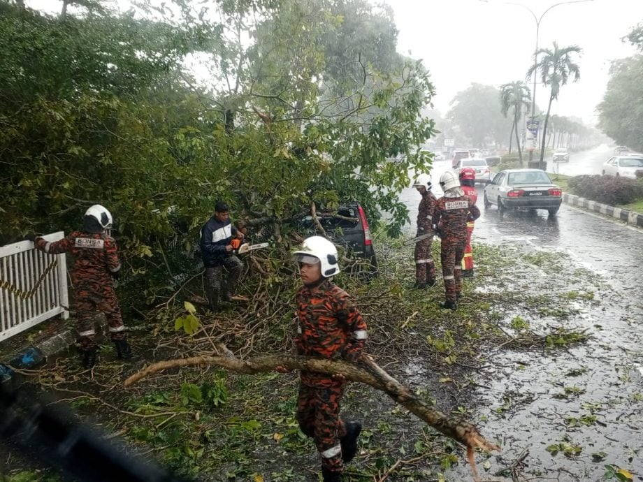 大雨狂风袭击 怡两地倒树屋顶掀翻