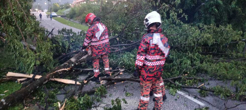 大雨狂风袭击 怡两地倒树屋顶掀翻