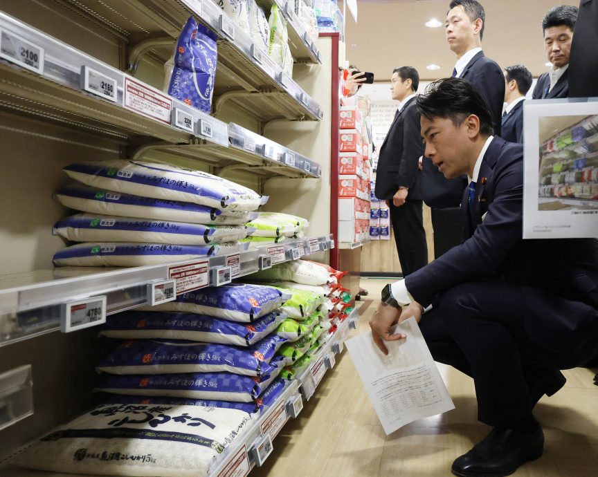 小泉任农相出招解米荒  若立功有望成首相接班人