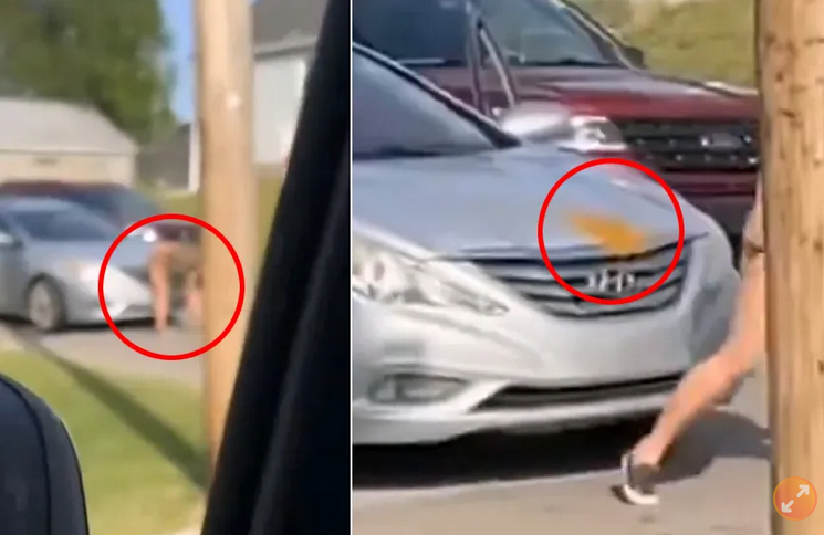 女子大便轿车上　得意：那坨屎乾净到不用擦屁屁