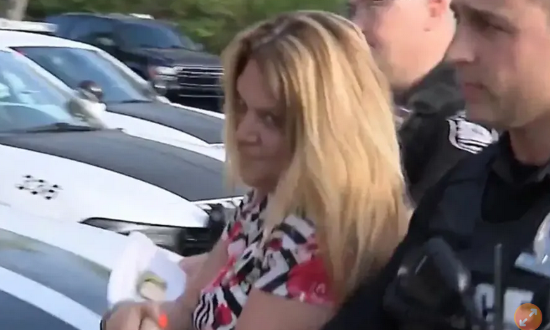 女子大便轿车上　得意：那坨屎乾净到不用擦屁屁