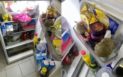 女子租屋近一年不敢用厨房冰箱 原因令人吃惊！