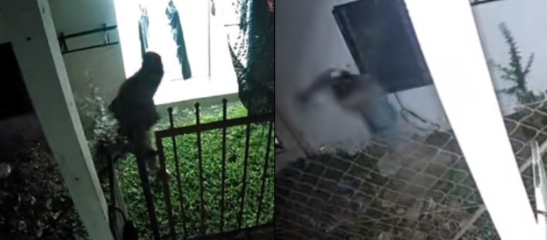 小偷夜闯民宅偷窃 被门前一物吓跑了