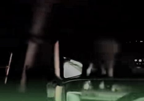 小象被撞死|此象非彼象 被摄出现事故地点非亡儿母象