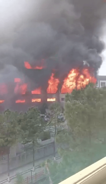 山东化工厂大爆炸“惊现蘑菇云”！　医院惊传“人满为患”