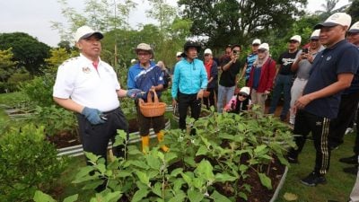 山苏阿兹里：农作物丰富景色宜人  “布城植物园可打造成度假胜地”