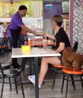 青年光顾清真食店,宠物狗站餐椅掀波