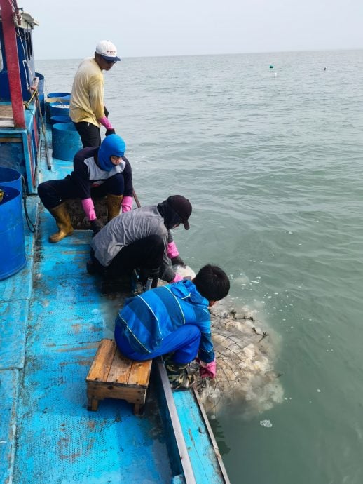 已签发 柔:封面:【特稿】:在笨珍咸水港飘香百年峇拉煎,10年后或会消失?!