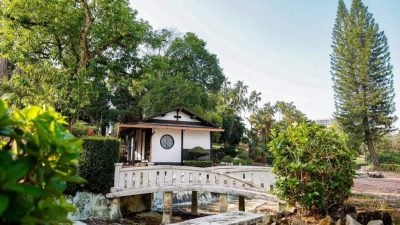 翁哈菲兹：方便游客参观 开发通道连接动植物园