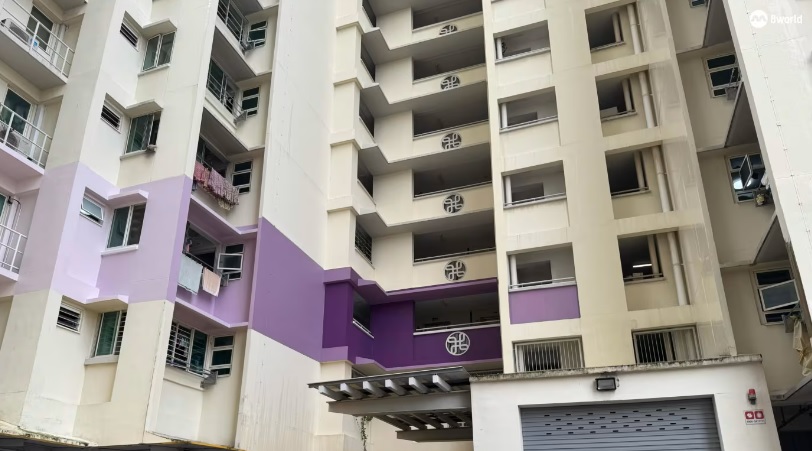 已签发 柔：狮城二三事：符策翔回应紫色粉刷争议 居民将投票决定组屋配色