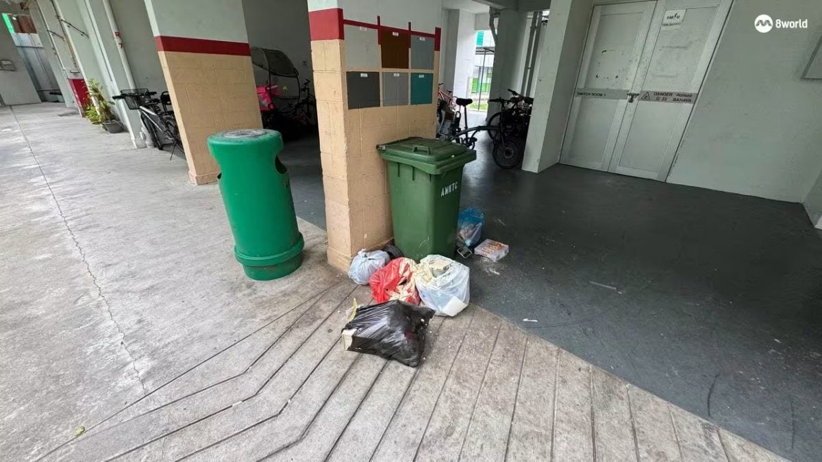 *已签发*柔:狮城二三事:横行不怕人!狮城宏茂桥组屋区“鼠踪连连”