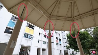 狮城勿洛北居民申诉 遛鸟40年突被禁挂鸟笼