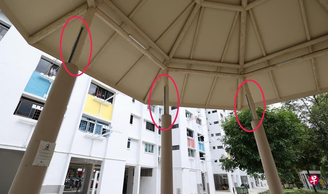*已签发*柔:狮城二三事:狮城勿洛北居民申诉 遛鸟40年突被禁挂鸟笼