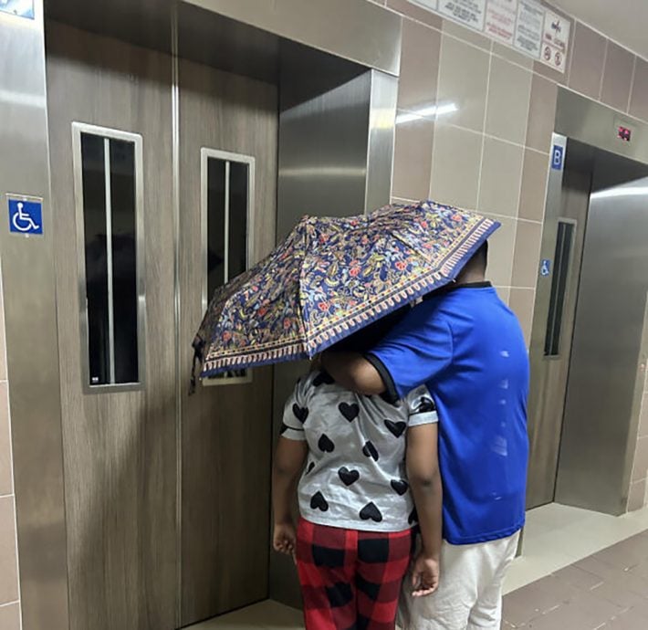 *已签发*柔:狮城二三事:飞蝉群袭狮城组屋 居民打伞出门