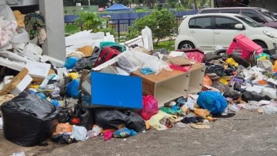 公园街道卫生打理差 巴生酋长批评摇头