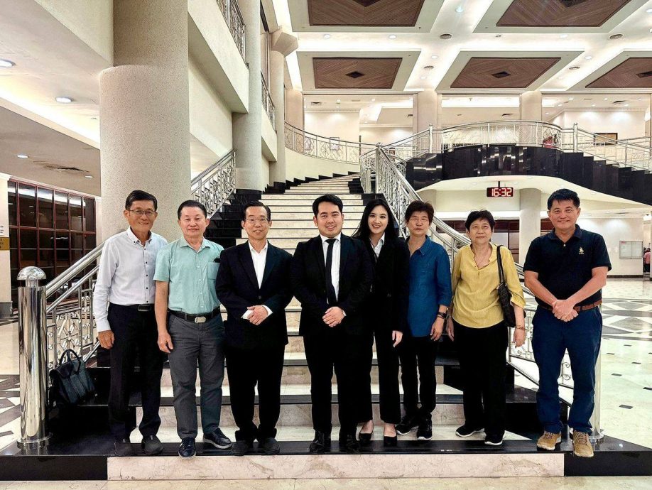 已签/紫芳阁闹双包风波|许嵄智:高庭已裁决 阁员勿出席525大会