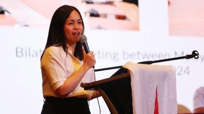 张念群：行动党不是换了椅子就换脑袋  不大声抗议不代表没作为