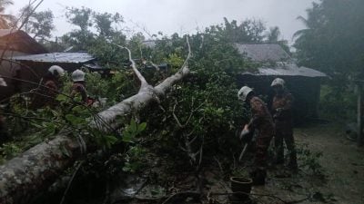 强风吹倒橡胶树  击中房屋厨房幸无人伤