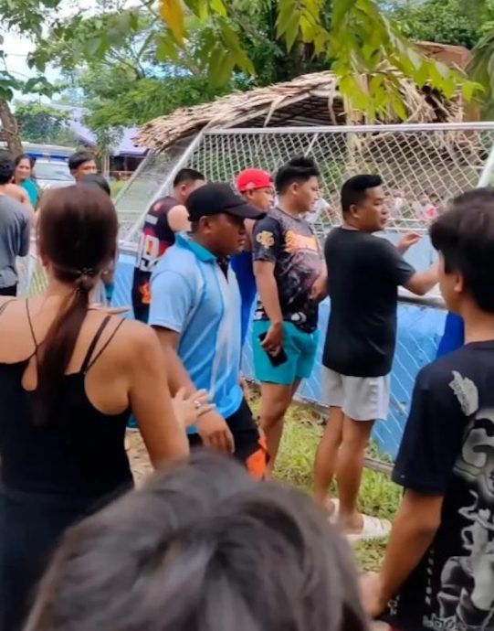 当鳄鱼是雕塑!男子翻围栏自拍 遭近5公尺巨鳄撕咬半小时