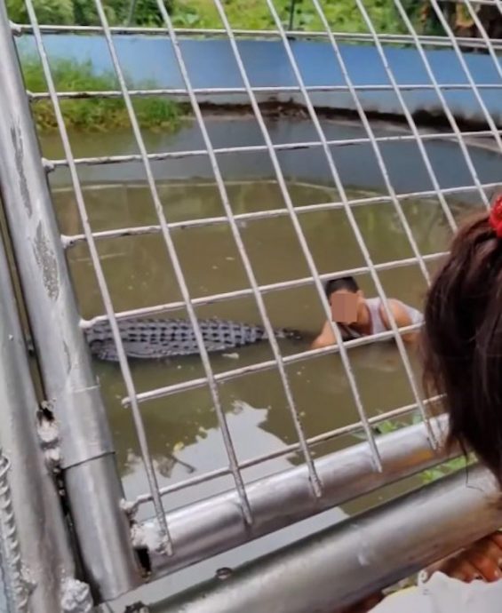 当鳄鱼是雕塑!男子翻围栏自拍 遭近5公尺巨鳄撕咬半小时