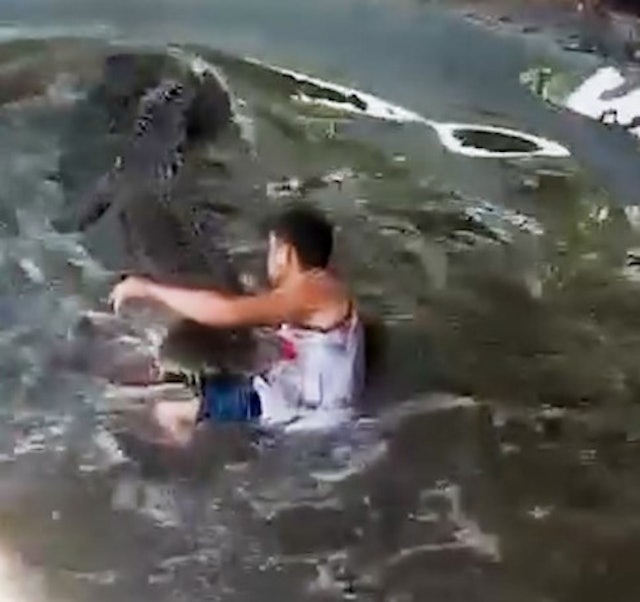当鳄鱼是雕塑!男子翻围栏自拍 遭近5公尺巨鳄撕咬半小时