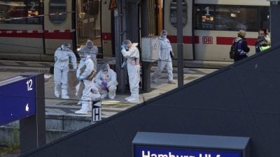 德国汉堡火车站惊传持刀袭击案17人伤　女疑犯被捕