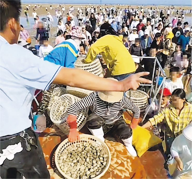 拚图两图) 五一乱象：鲁撒蛤蜊抢客 西安不见兵马俑