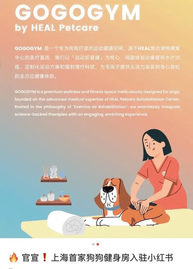 拚盘/上海创中国先河 宠物健身房下月开业