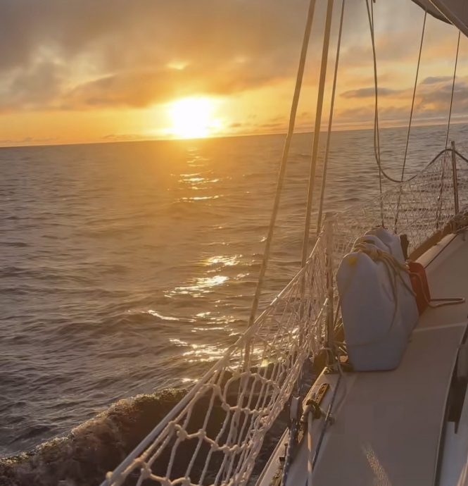 拚盘/辞职带爱猫航海 男子找到人生出口鼓舞百万粉丝