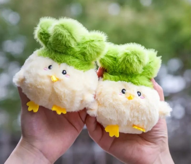 拼盘/文创玩偶“蒜鸟”爆红 日销千只化身“武汉和平鸟”