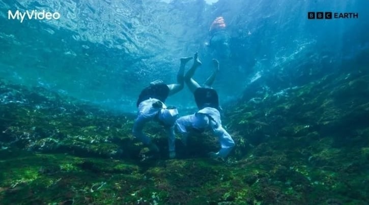 挑战海女级潜水爆失温 宋智孝嘴唇发紫险丧命