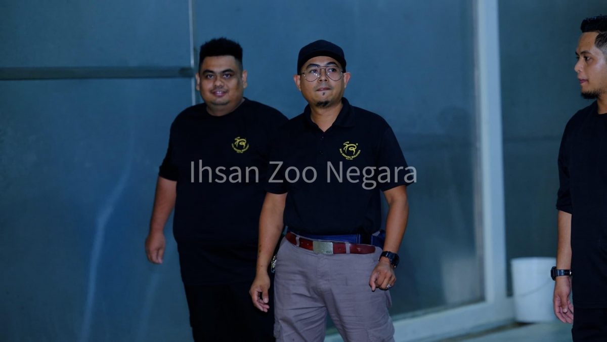 挥别兴兴靓靓 10年保育写下马中友谊篇章