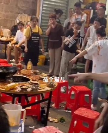 掉入火锅猫咪 病情恶化不治身亡