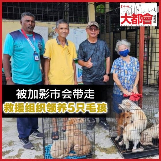     救5送2，救狗狗收获意外赠品