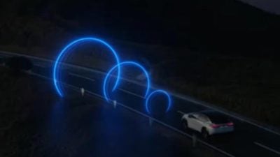 小象被撞死|日本研发汽车释放声波术　警示动物远离公路避撞