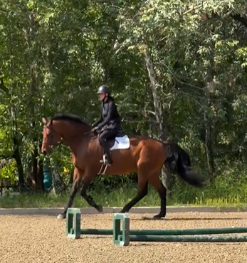 晒豪宅被质疑卖广告造假 吴彦祖除婚戒传婚变