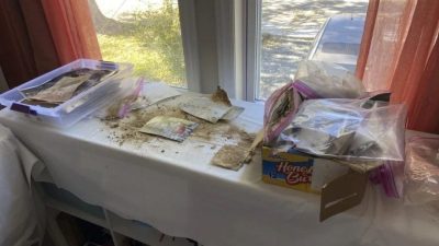 志愿者创账号助寻回照片    帮灾黎找回家庭记忆