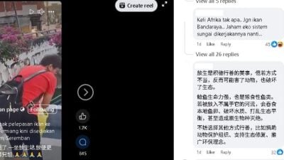 河边放生鲶鱼视频惹议  森渔业局：非所有鱼类适合放生