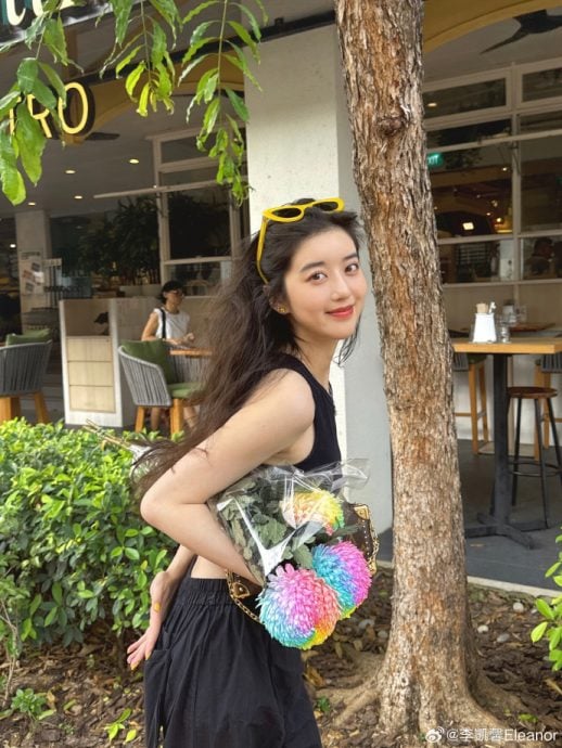 李凯馨被爆辱华 连累《赴山海》定档无期