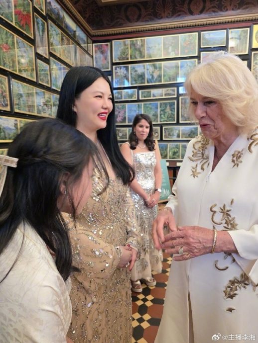 李湘带女儿赴英王室宴会 网挖出真相挨酸