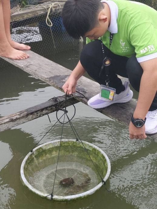 柔：年轻人：5月7日刊：大海的馈赠与挑战：走进龟咯奎笼渔场的日常