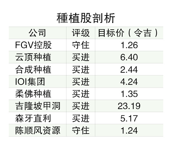 棕油价居高不下  种植公司首季财报料亮眼