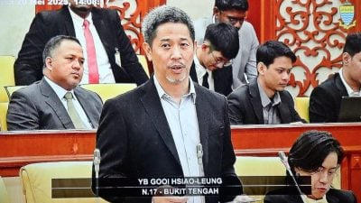 槟州议会 | 魏晓隆：国家与州属之间 应检讨财政分配机制