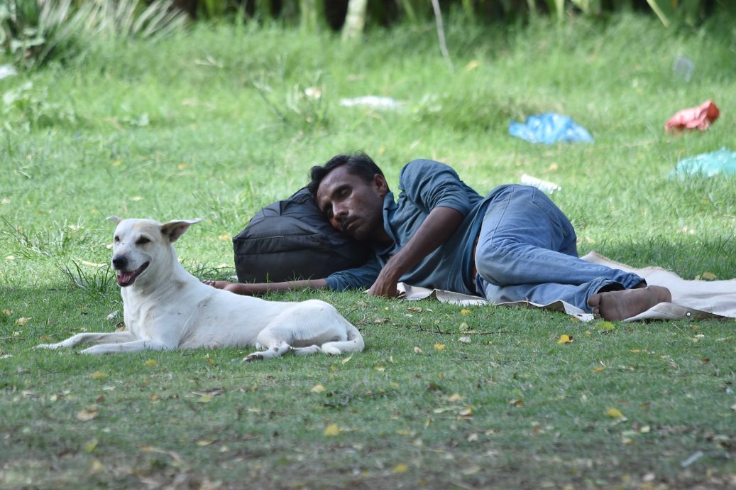 欧盟气候机构:今年4月是有记录以来第二热的4月