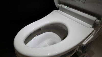 蹲马桶突遭巨蟒狠咬下体“大出血”